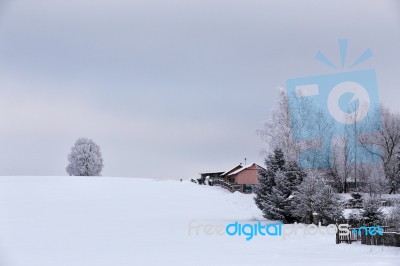 Snowy Winter In A Village Stock Photo