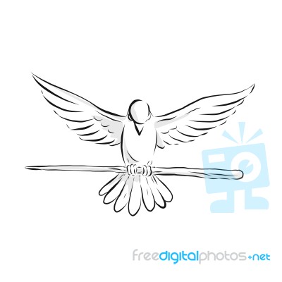 Soaring Dove Clutching Staff Front Drawing Stock Image