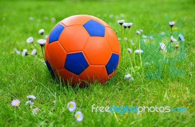 Soccer Ball Stock Photo