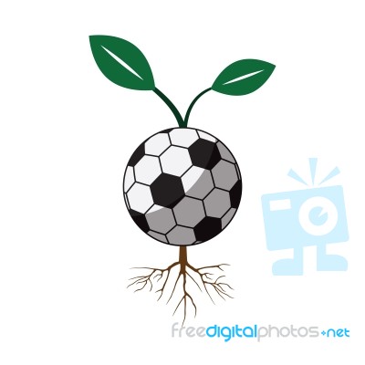 Soccer Football Sapling Icon  Illustration Stock Image