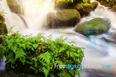 Soft Waterfall With Green Plant  On The Rock Rainy Season,mun Da… Stock Photo