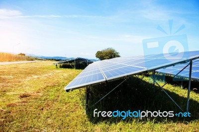 Solar Panels On The Lawn Stock Photo