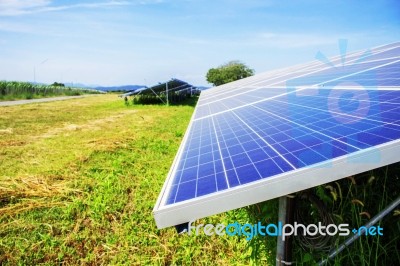 Solar Panels On The Lawn In A Power Station Stock Photo