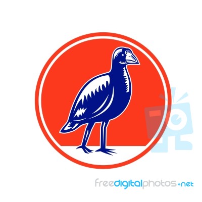 South Island Takahe Circle Woodcut Stock Image