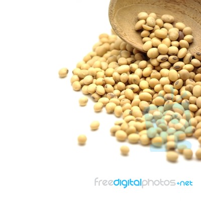 Soy Beans In Spoon Stock Photo