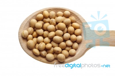 Soyabeans On Wooden Spoon Stock Photo