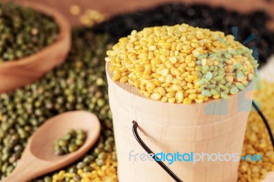 Soybeans In Buckets Stock Photo