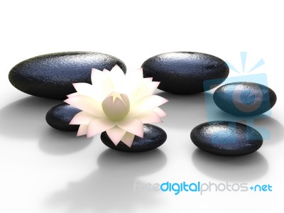 Spa Stones Represents Bloom Peaceful And Spirituality Stock Image