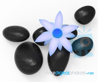 Spa Stones Shows Spirituality Meditation And Floral Stock Image