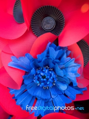 Special Poppy To Commemorate The Centenary Of The Battle Of The Stock Photo