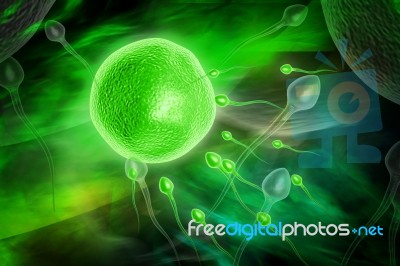 Sperm Stock Image