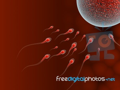 Sperm Attack Stock Image
