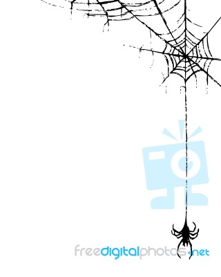 Spider And Web Stock Image