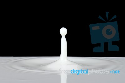 Splash Of Milk Stock Photo