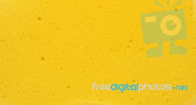 Sponge Texture Background Stock Photo