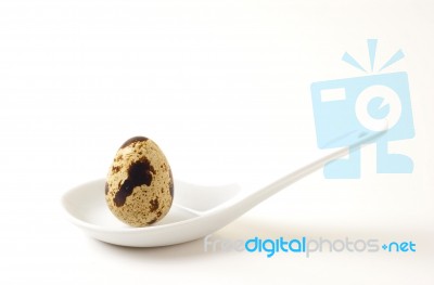 Spoon With Quail Egg Stock Photo