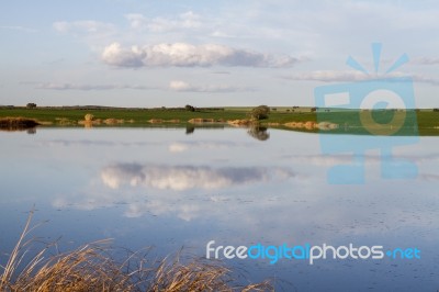 Spring Countryside Lake Landscape Stock Photo