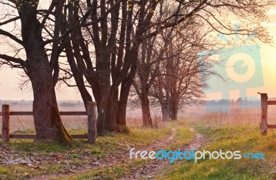 Spring Countryside Sunset. Old Country Road In The Park Stock Photo