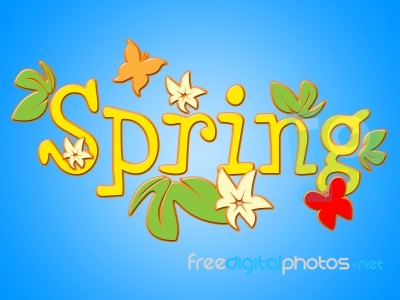 Spring Flowers Shows Flora Warmth And Bloom Stock Image