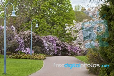 Spring Scene In Garden Stock Photo