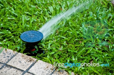 Sprinkler On Yard Stock Photo