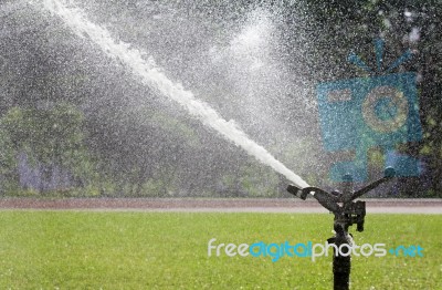 Sprinkler Watering The Grass Stock Photo