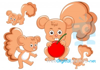 Squirrel Stock Image