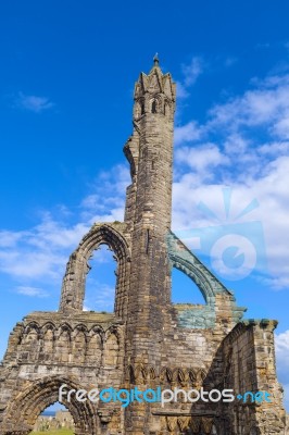 St Andrews Cathedral Ruins Stock Photo