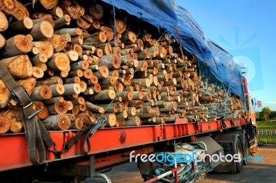 Stack Of Wood On Trailer Stock Photo