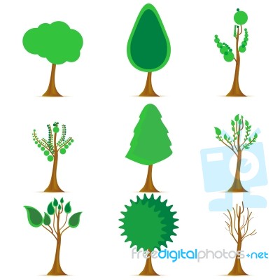 Stages Of Trees Stock Image