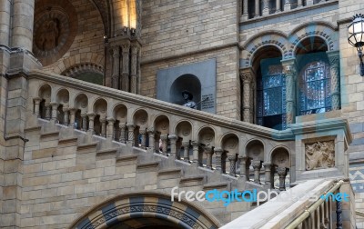 Staircase At The Natural History Museum In London Stock Photo