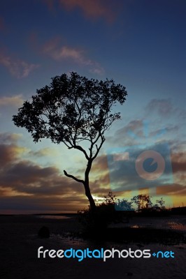 Standing Quietly Stock Photo