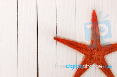 Starfish On White Wood Stock Photo