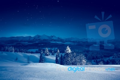 Starry Winter Night Stock Photo