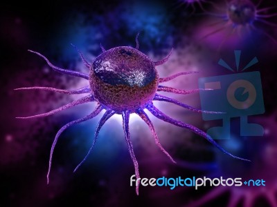 Stem Cell Stock Image