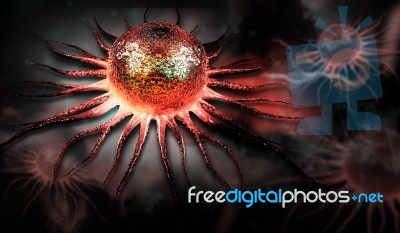 Stem Cell Stock Image