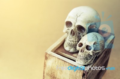Still Life Of Love Human Skull Couple With Wooden Box Stock Photo
