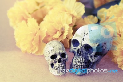 Still Life Of Love Human Skull Couple With Yellow Flower Stock Photo