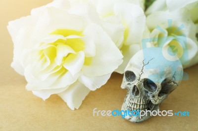 Still Life Of Love Human Skull With Rose Flower Stock Photo