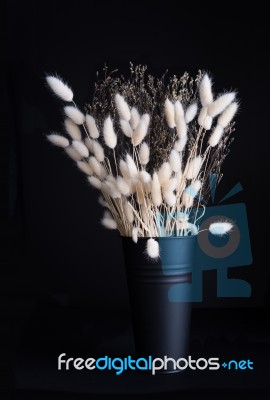 Still Life White Dry Flower Bouquet In Black Enamel Vase On Dark… Stock Photo