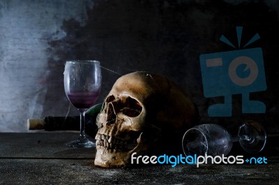 Still Life With A Skull Stock Photo