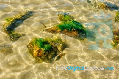 Stones Overgrown With Mud Under The Water Stock Photo