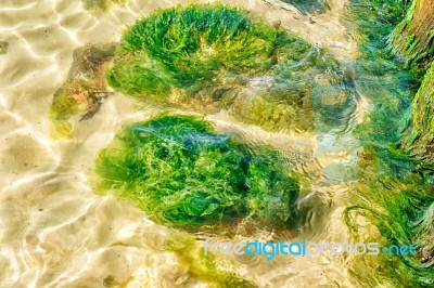 Stones Overgrown With Mud Under The Water Stock Photo