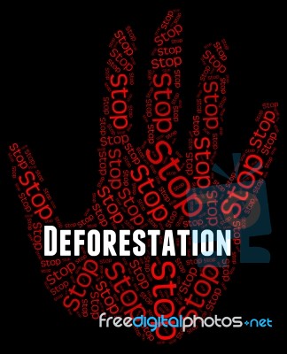 Stop Deforestation Means Cut Down And Caution Stock Image