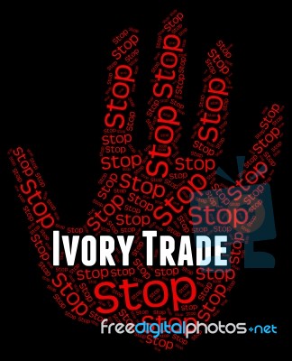 Stop Ivory Trade Represents Elephant Tusk And Business Stock Image