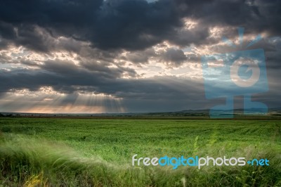 Storm Sense Stock Photo