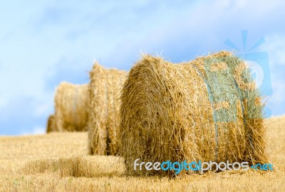 Straw Stock Photo Straw Stock Photo