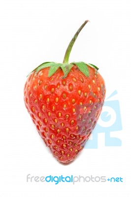 Strawberry Berries White Background Stock Photo