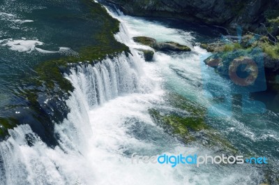 Strbacki Buk Stock Photo Strbacki Buk Stock Photo