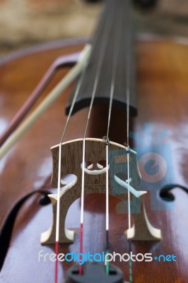Strings Violin Stock Photo